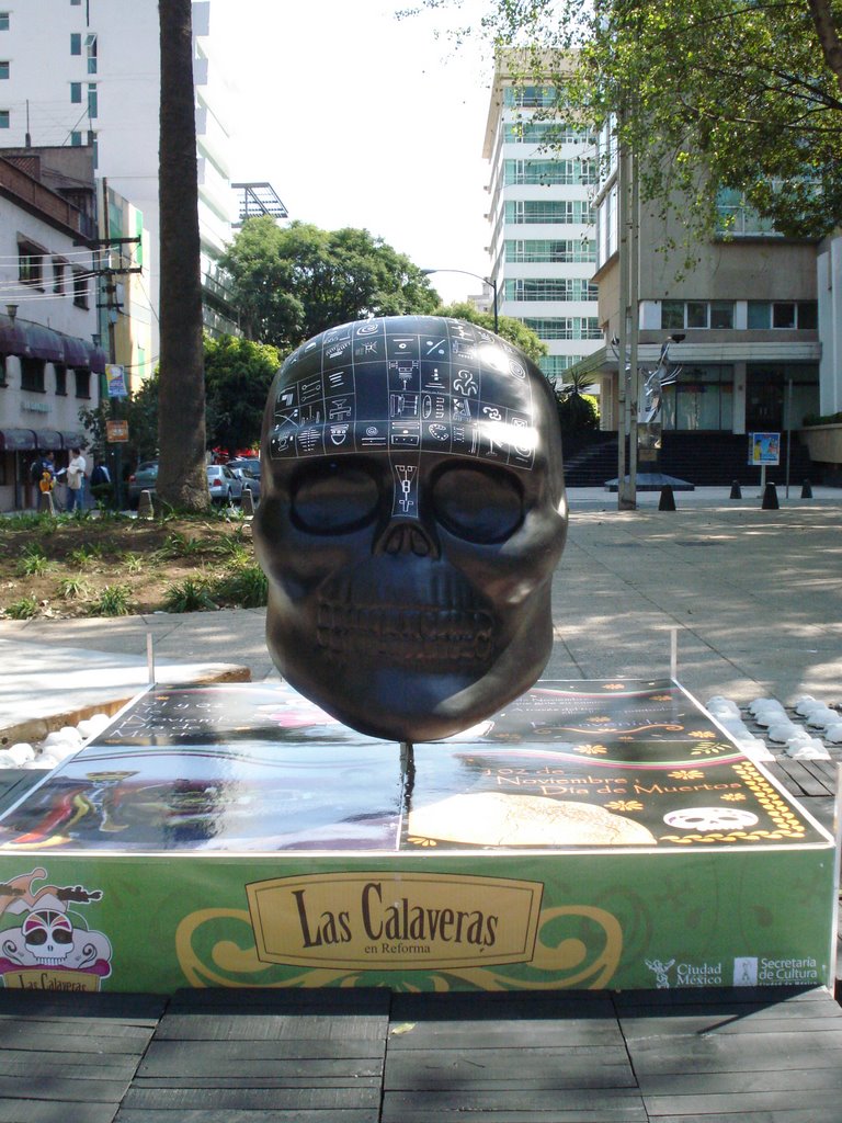 Calavera, Reforma by RS-Camaleon