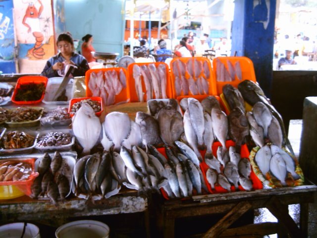 Lonja de pesca en Chorrillos by tatobich