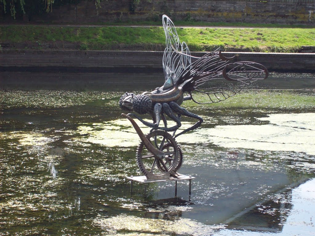 Dragonfly, 14 locks, nabij Newport, Wales by arris schuiling