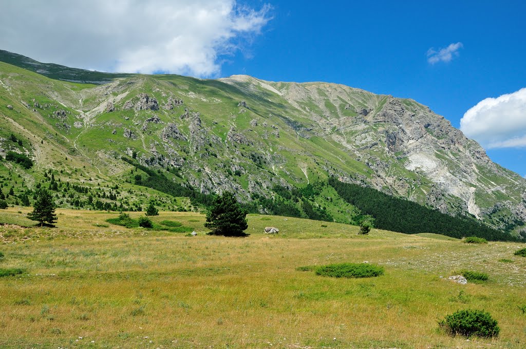 Parco Nazionale dei Monti Sibillini con il Monte Vettore (2476 m). (17-07-2011) by Renato Pantini