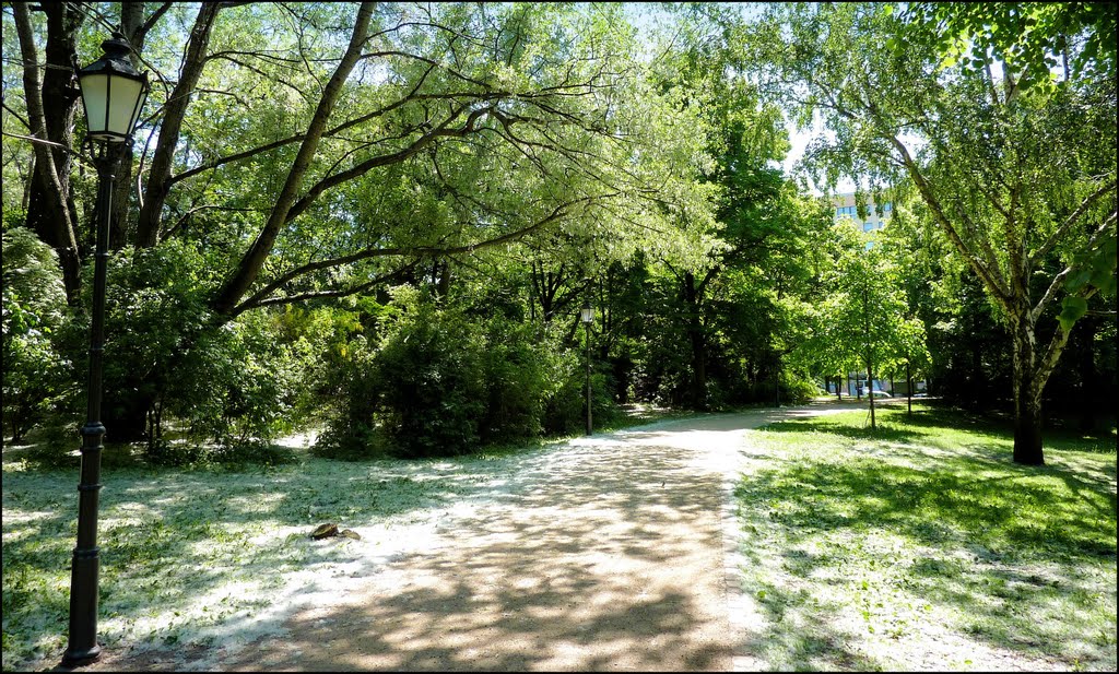 Volkspark Friedrichshain (seit 1846) ist die erste kommunale Parkanlage Berlins. by Ralf Pätzold, Berlin