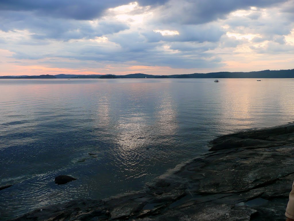 Bryngenäs vid mjörn Alingsås,Sweden,2011. by Despina Mousafiri