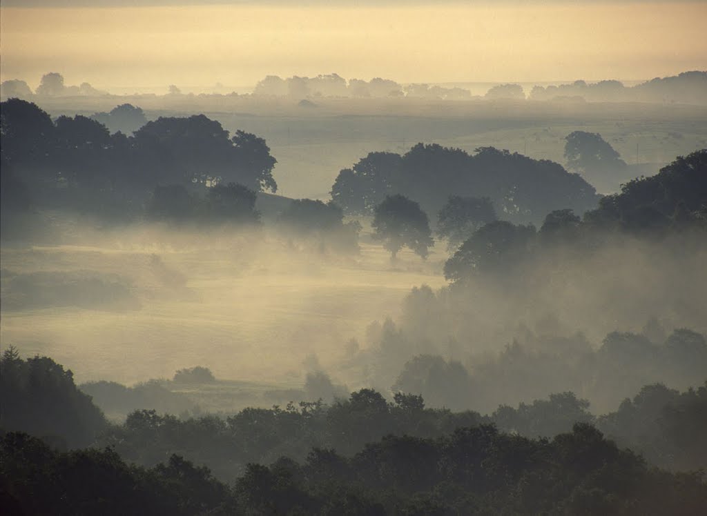 Trossachs Early Morning by photomorrison