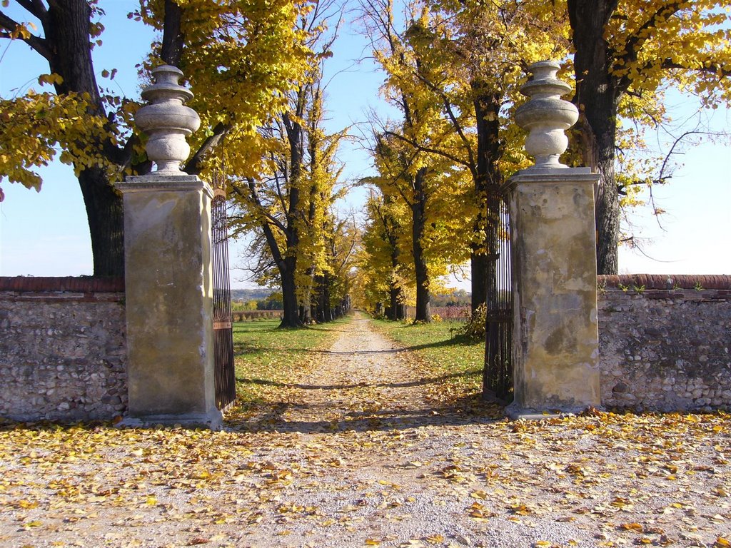 Maser - Villa Barbaro Gate by dstaiano