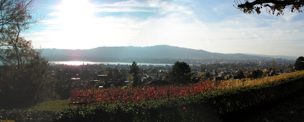 ZURICH VIEW by kaihopara