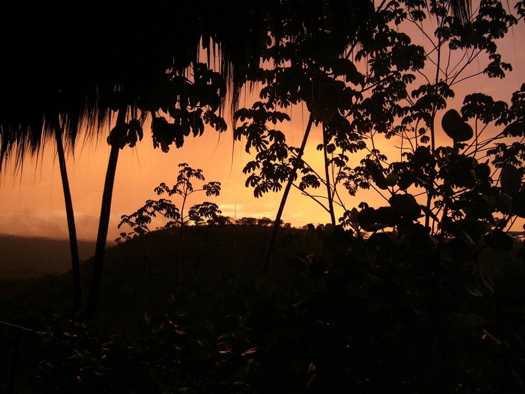 Rainforest Sunrise. Arekuna by jffrywrght