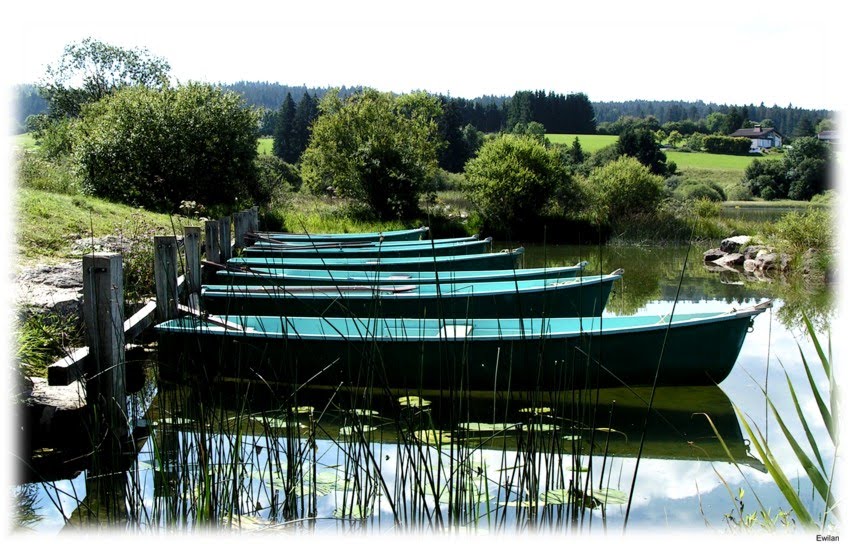 Barques by Ewilan