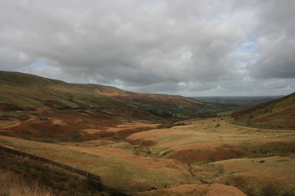 Brecon Beacons, Afon Tarell by fillup