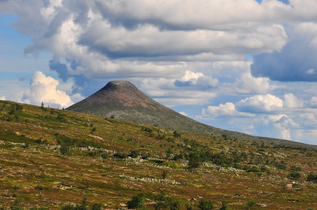 Städjan, Städjan-Nipfjällets Naturreservat by Peter B. Pearman