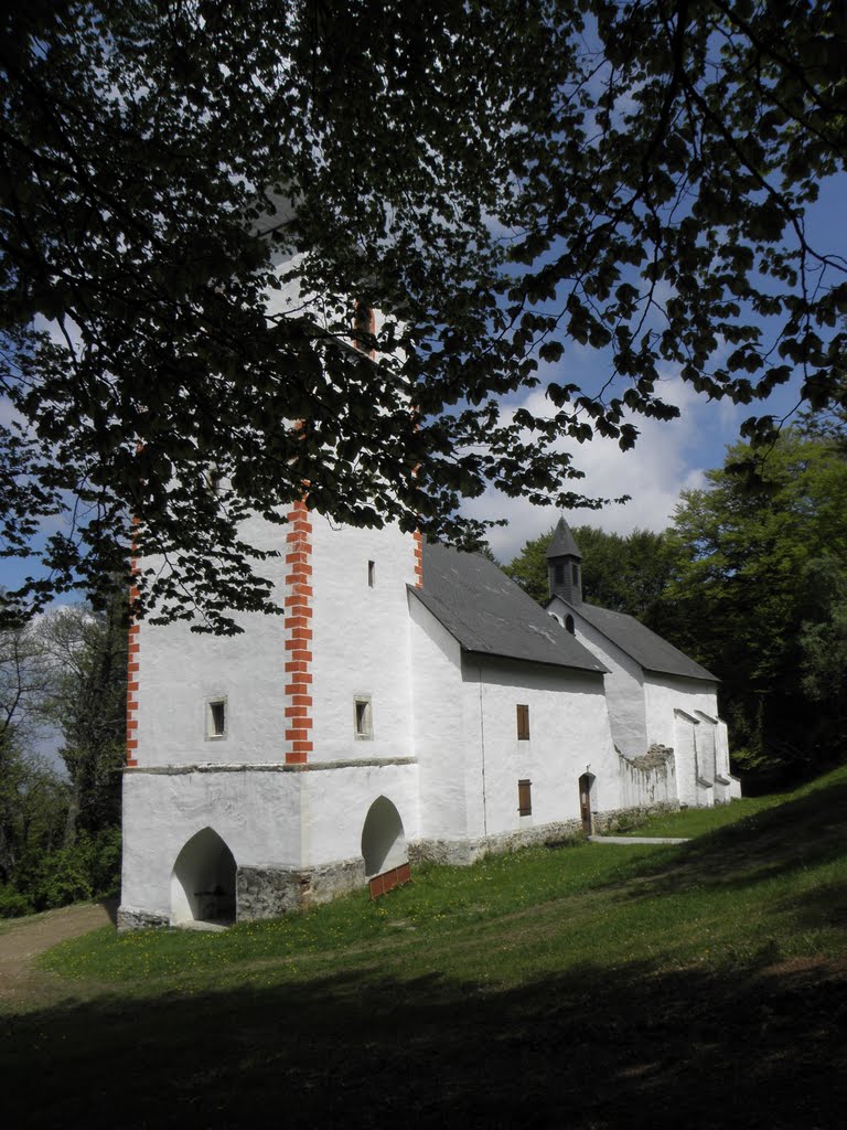 Pohorje by Jaksa Separovic