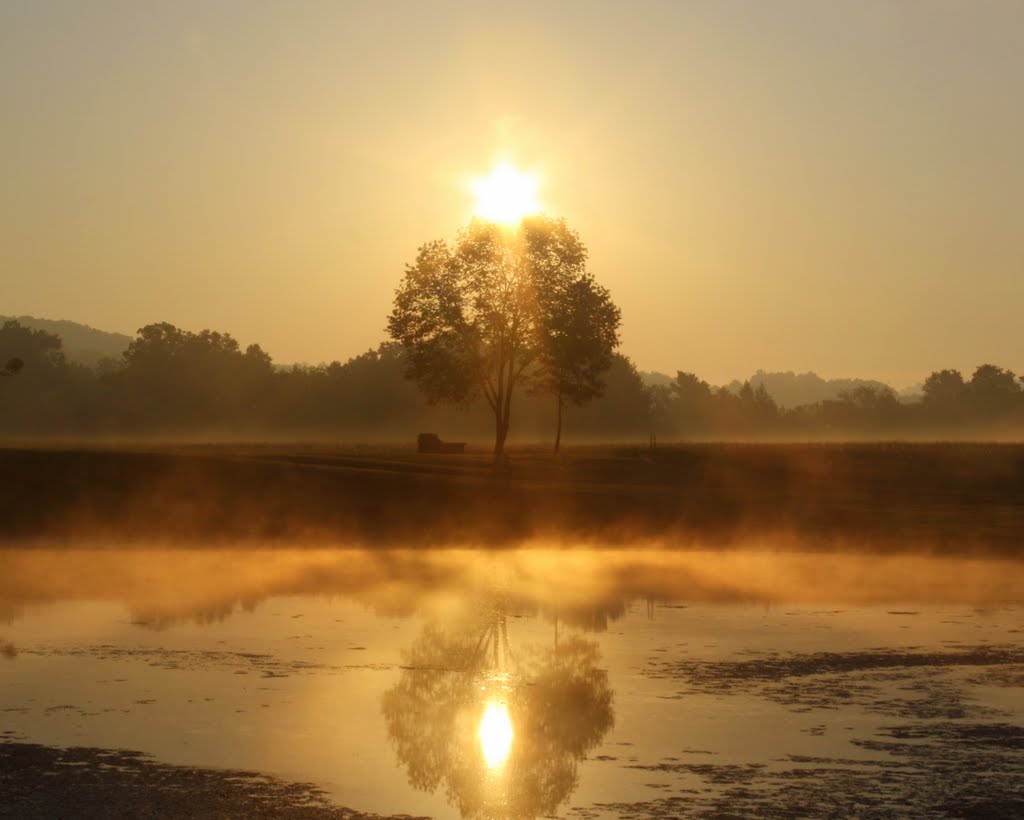 Star of David Sunrise by B Humphreys