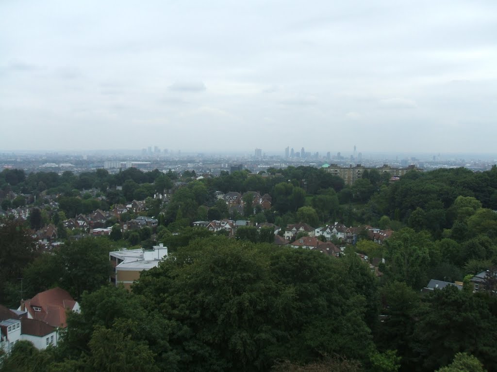 View from Southwood Park rooftop 2 by bcfczuluarmy