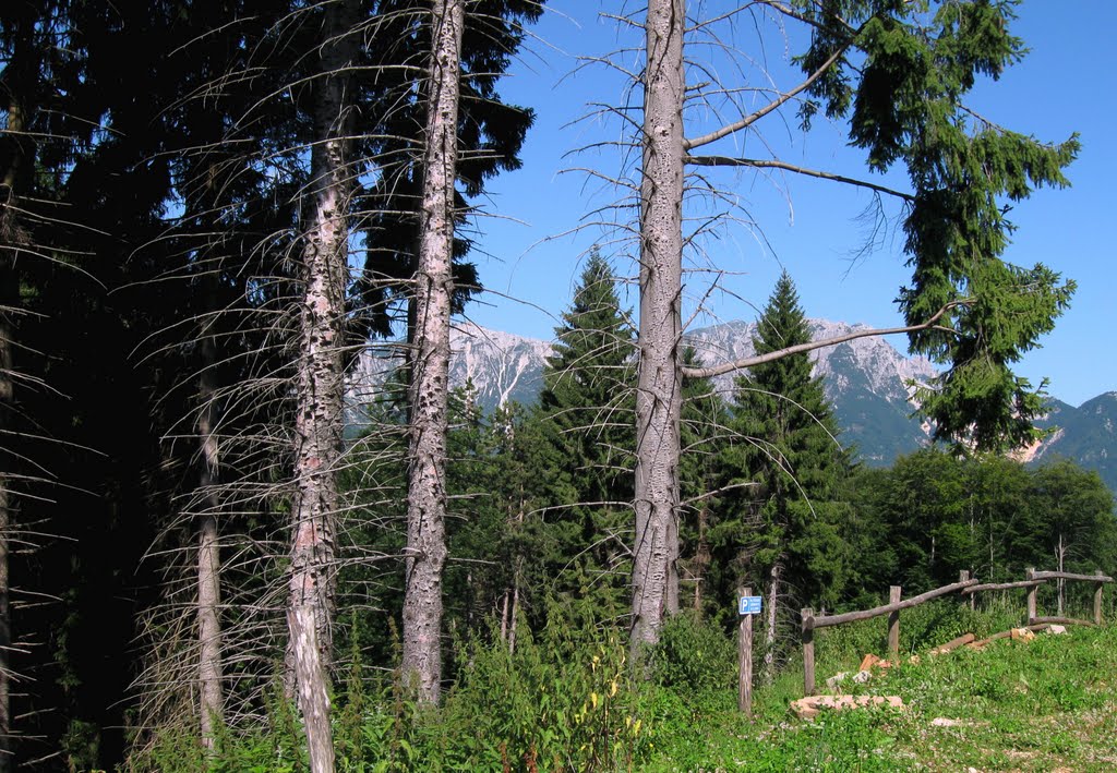 Recoaro Terme, vista sul Pasubio dal piazzale arrivo cabinovia by Cor & Cri