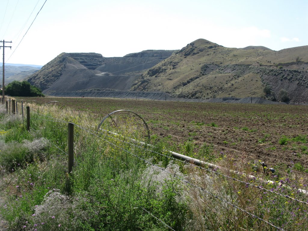 Mine That Mountain by Gordon Niamath