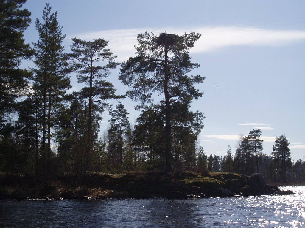 Northern Savonia, Finland by peemjii