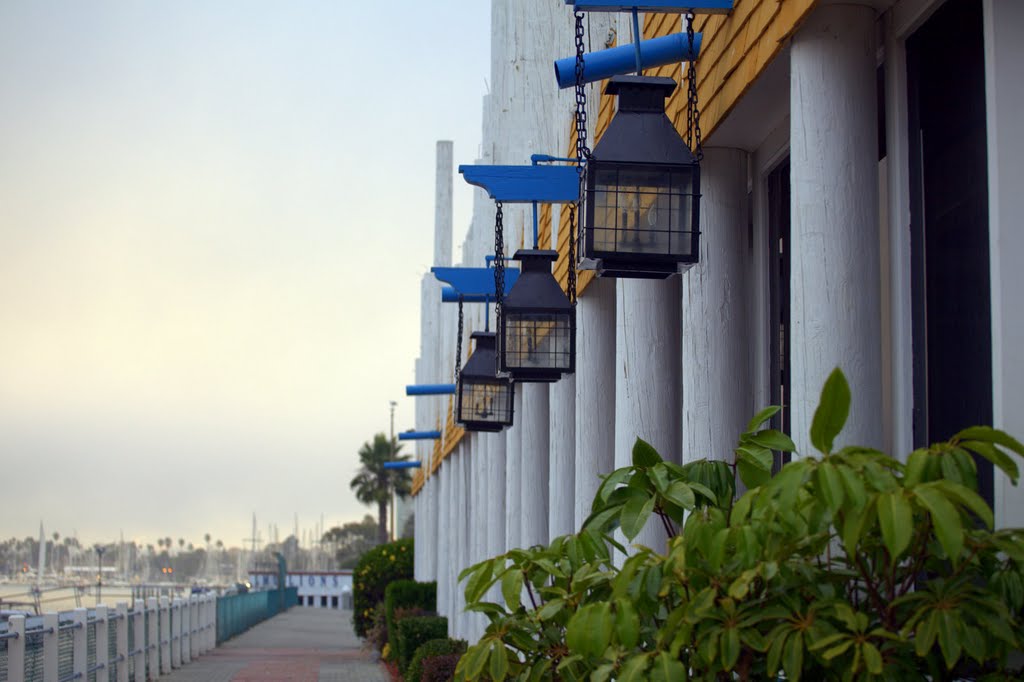 In Marina del Rey, CA by aleksolo