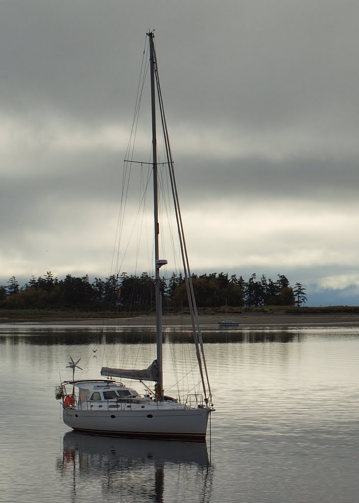 At Anchor - Comox Harbour by Randy Hall