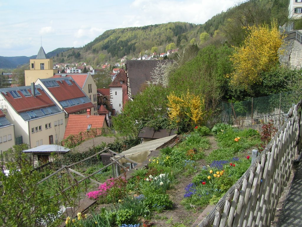 Horb, am Sommerhaldenweg by Dieter Zinser (RDZfd…