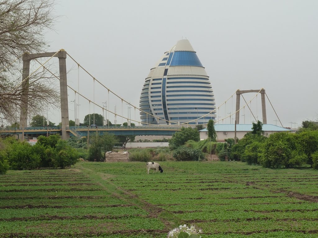 Capital city with farmland and cattles by Shutter