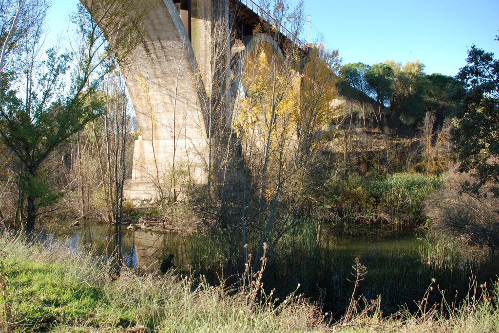 Puente del tren by jmaldini