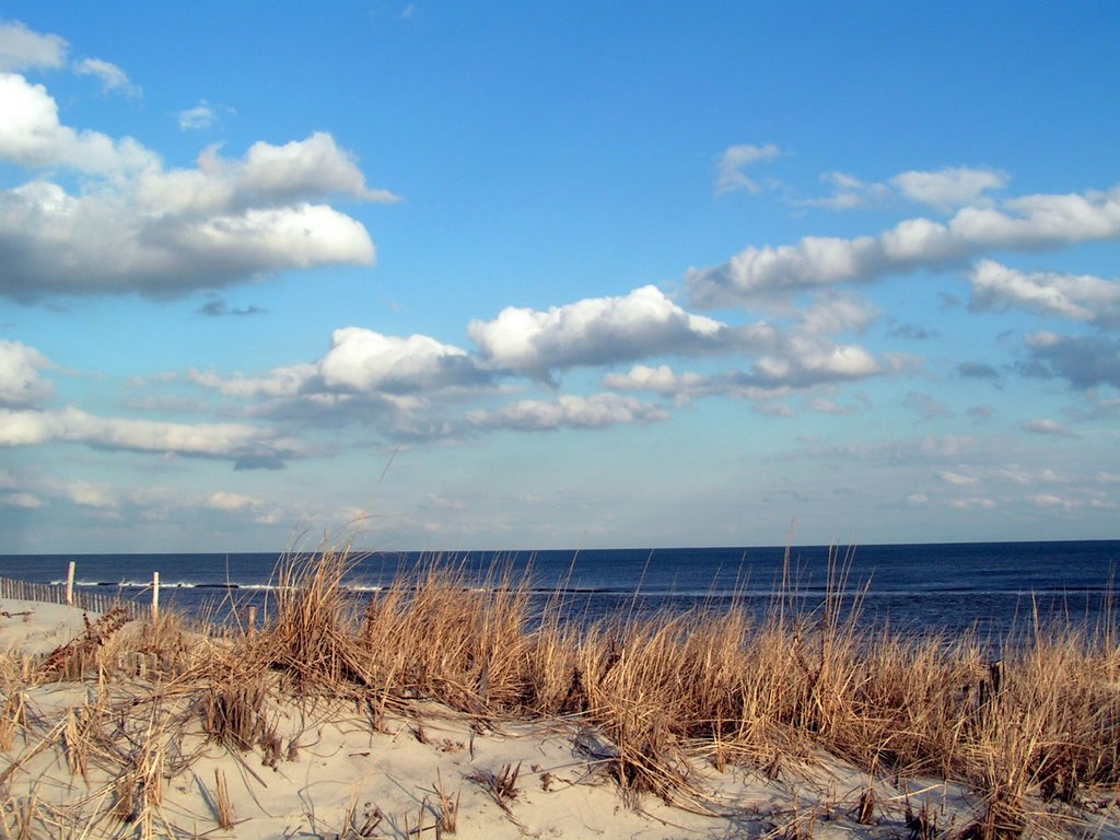 Surf City by K.McDonough-Collins