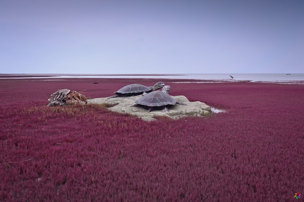 Red beach by mississippu