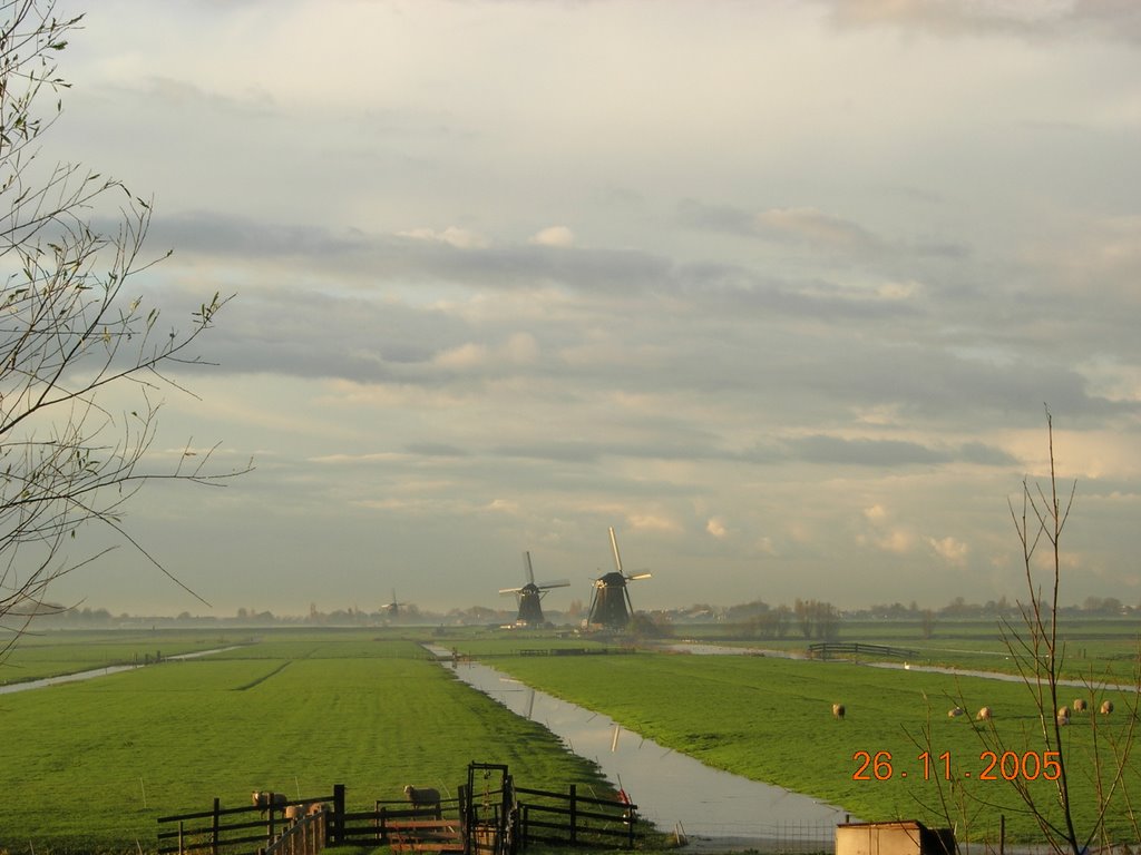 Aarlanderveen Windmolens in de polder by klaas64