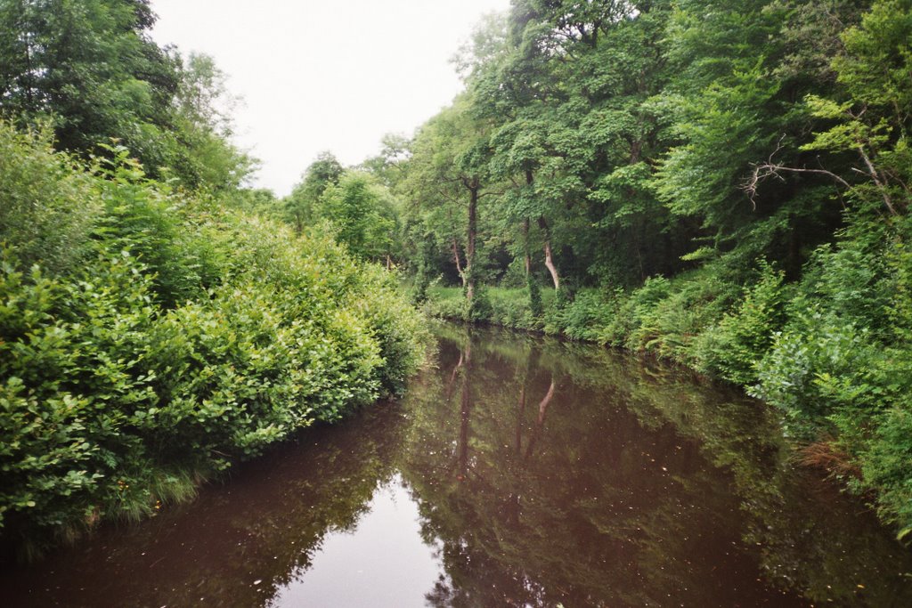 Lough allen canal by beatschmid