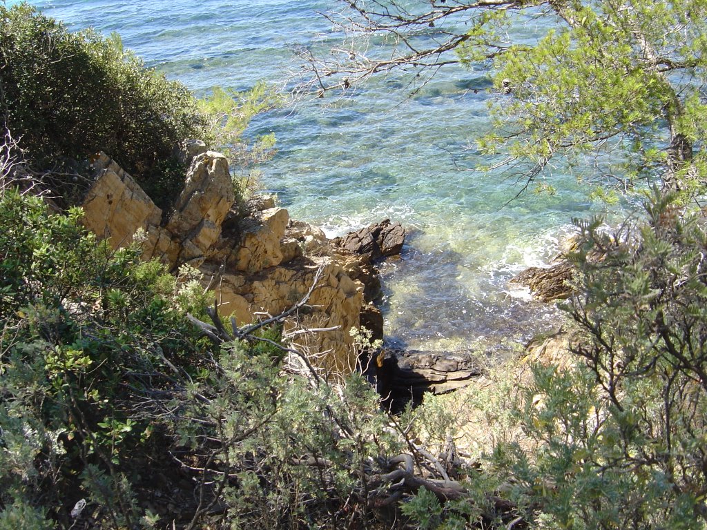 Petite creek dans l'île de port Cros by t_faz