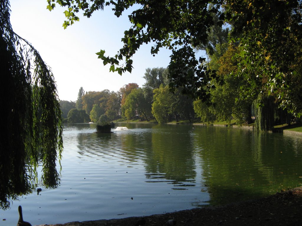 Etangs d'Ixelles from Place Flagey by stc1