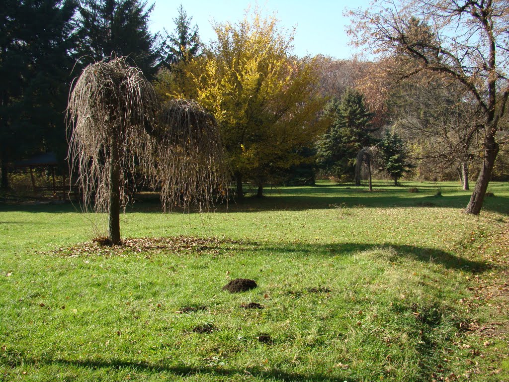 Autumn in West Park by PlamenB