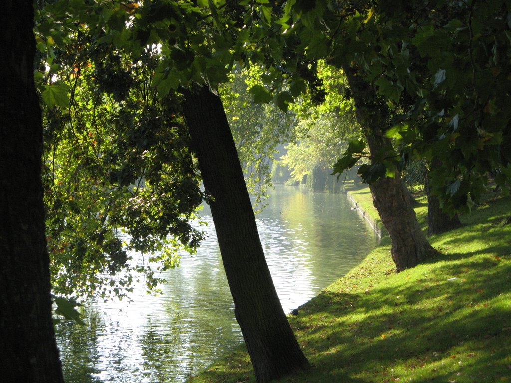 Trees on the banks of the Ixelles ponds by stc1