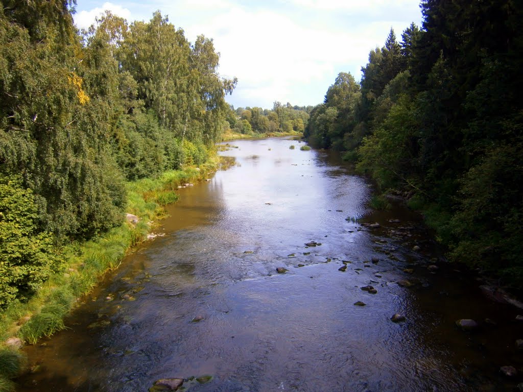 River Vantaanjoki in Viinikkala, a view eastwards (Vantaa, 20100807) by RainoL