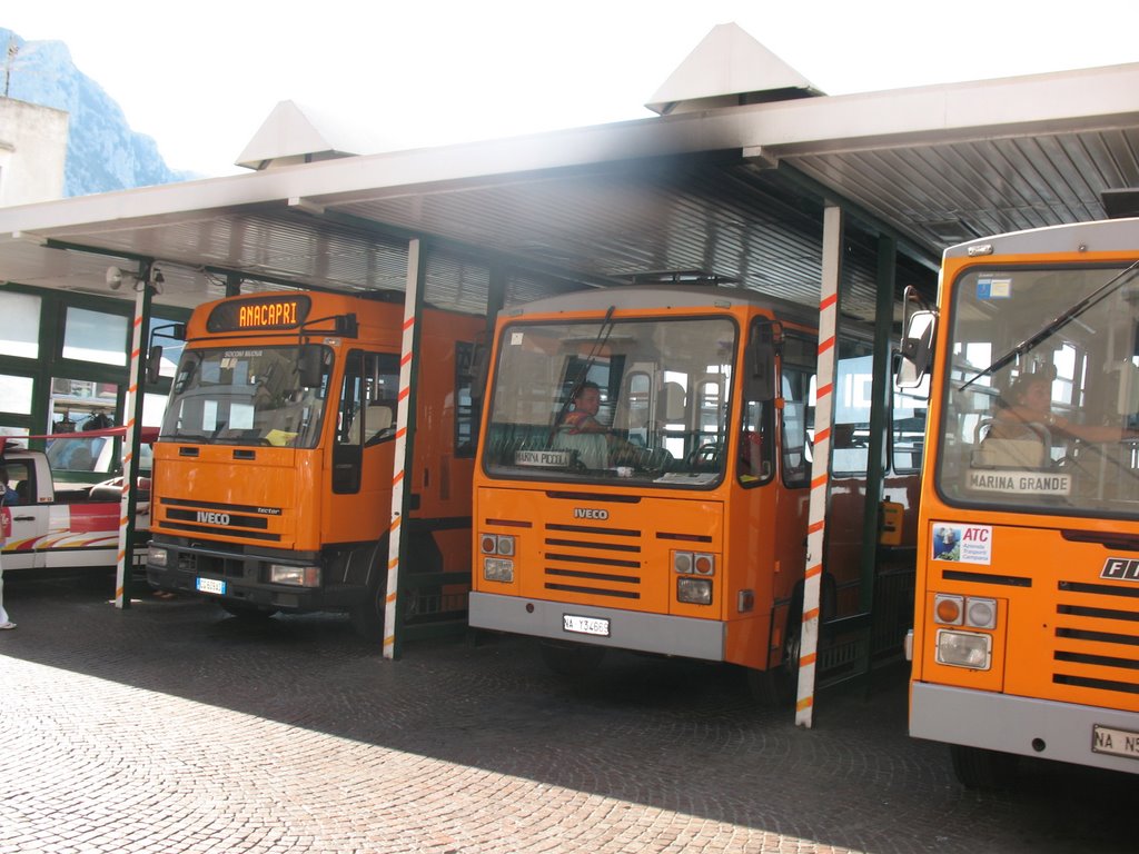 Capri buses 27/08/2007 by EugenyGromenko