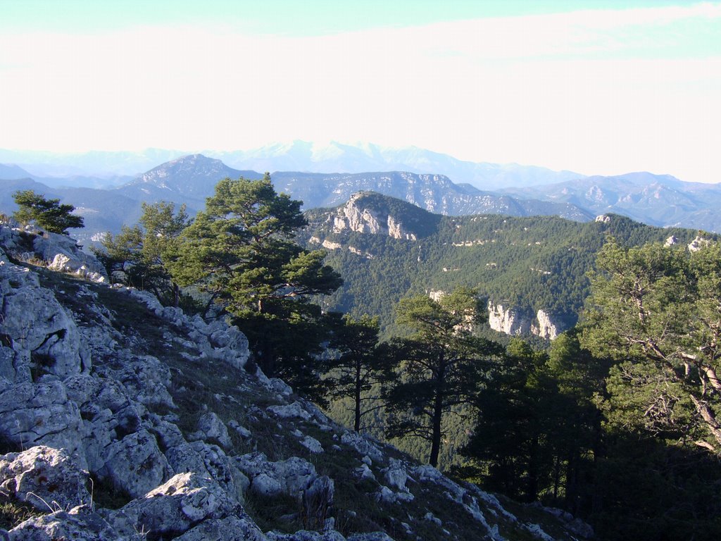 Desde el santuario de la mare deu del mont by aroza