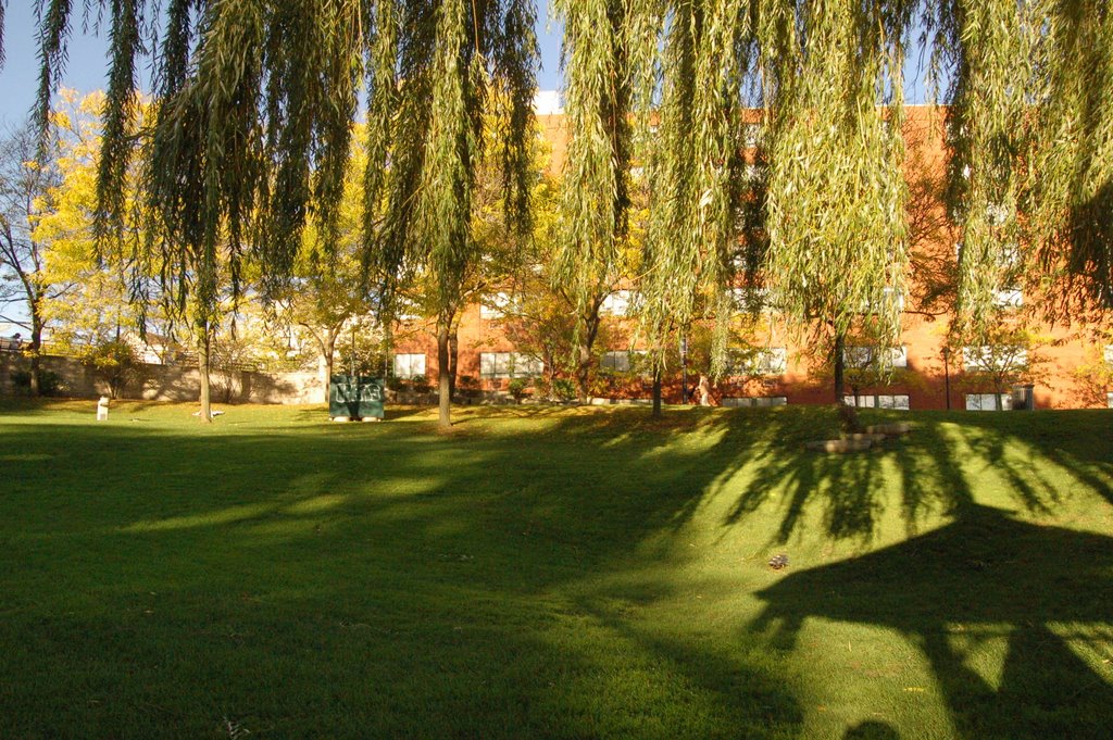 Spencer Smith Park by Eric Marshall