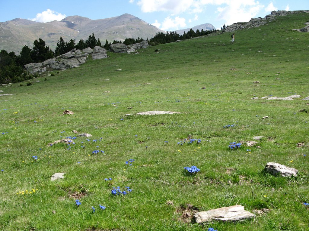 Fontalba, Spain 2007 by Helvi H.