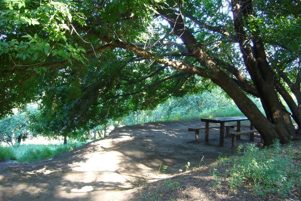 Лавочки Под Деревом (2011). Bench under a tree (2011) by Darius_Стас