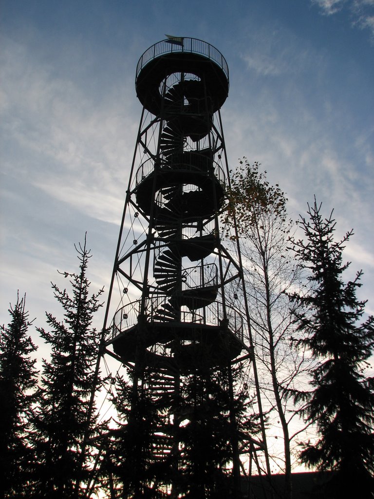 Aussichtsturm "Drei Brüder Höhe" by PeSchn