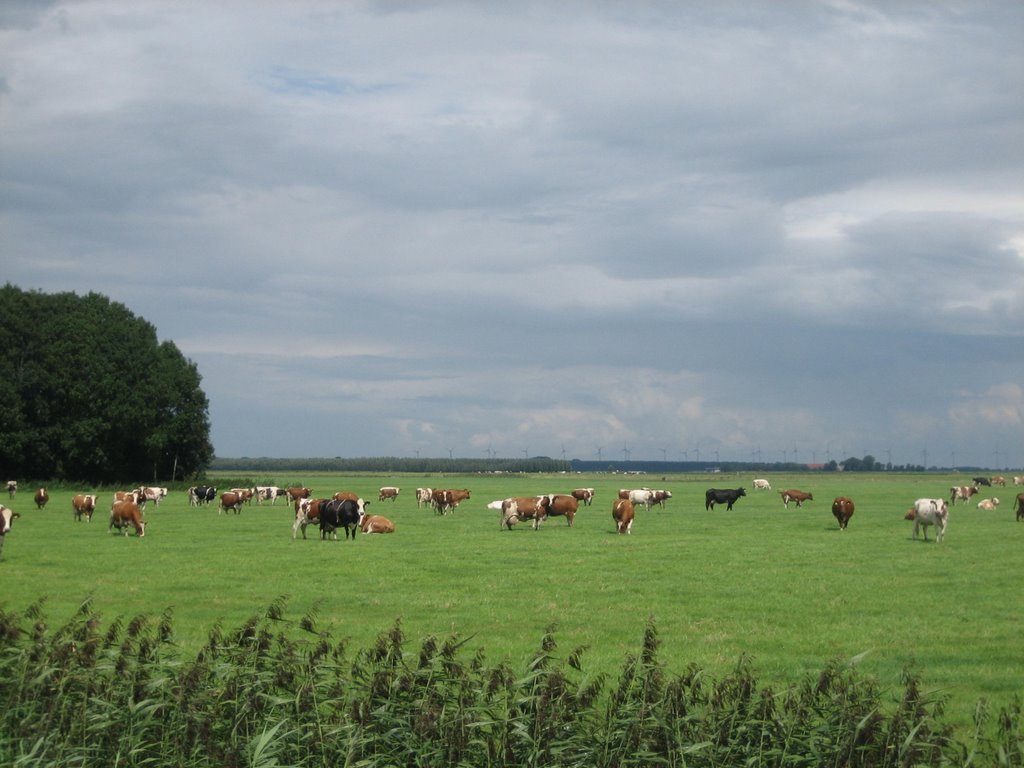 Landschap vanaf de Hamrik by Johan Zuidema