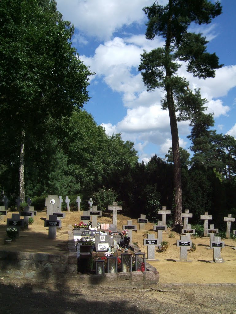 Cemetery - Zuster Rumolda by rwillebr