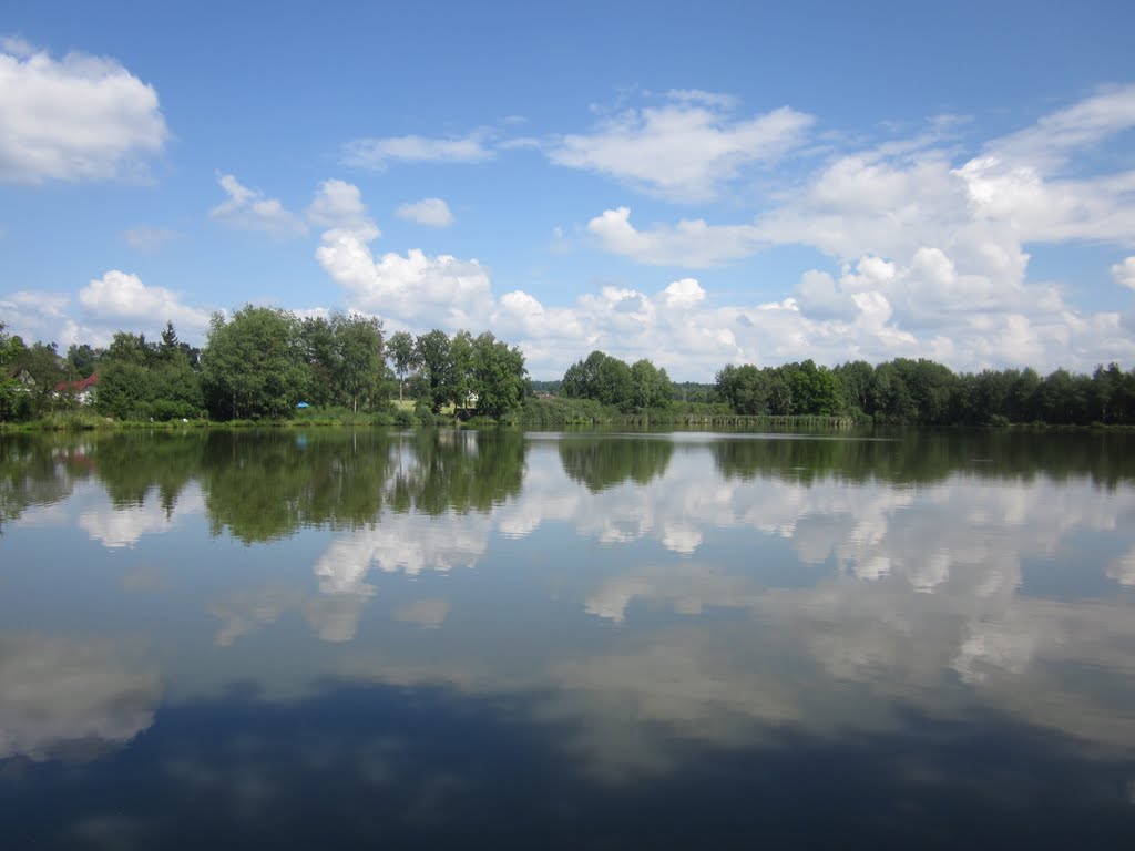 Ruhe am Karpfenteich by Hans Huemer-Vöcklamarkt