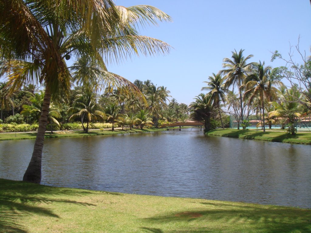 Lagoa e coqueiros by Marcelo S F