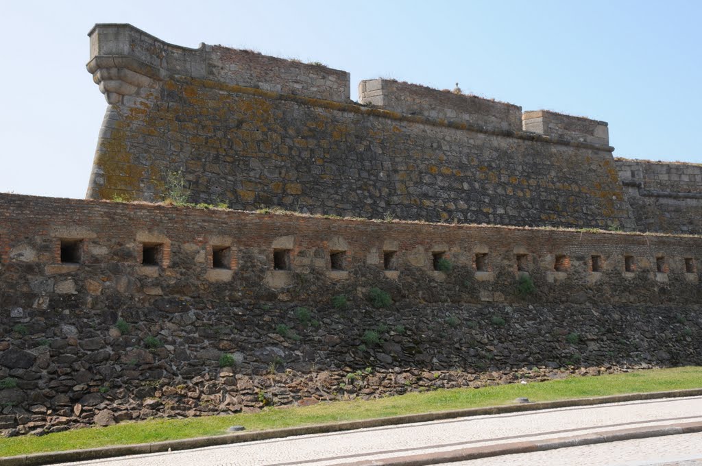 Castelo do Foz by Enrique Fernandez Marcote