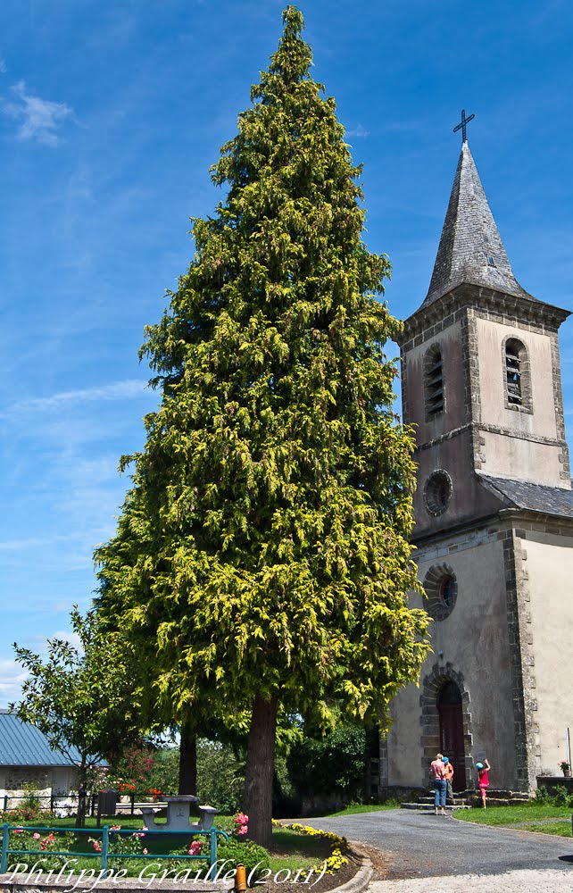 Saint Bonnet l'enfantier (Corrèze) by Philippe GRAILLE