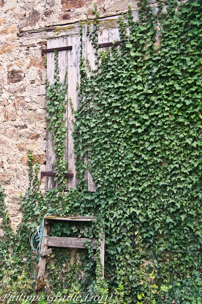 Saint Bonnet l'enfantier (Corrèze) - Le Monteil by Philippe GRAILLE