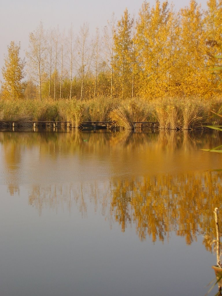 Cibakháza, Hungary by Vígh Tamás