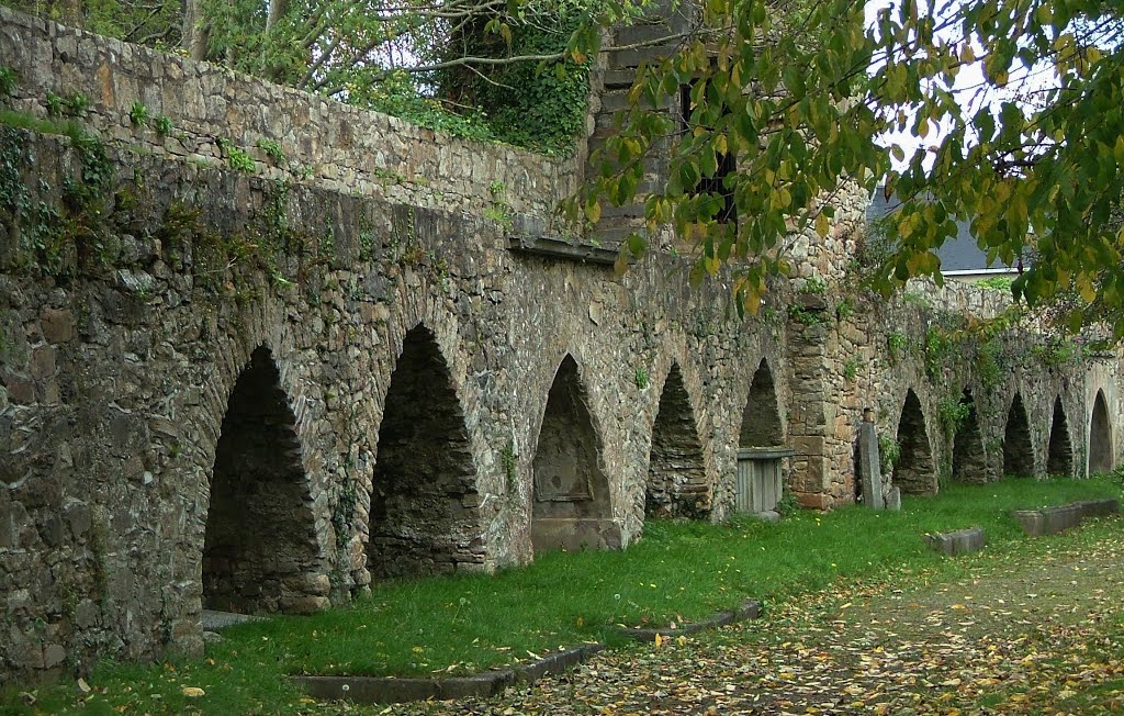 Old St Mary's Church graveyard by inessa.ie