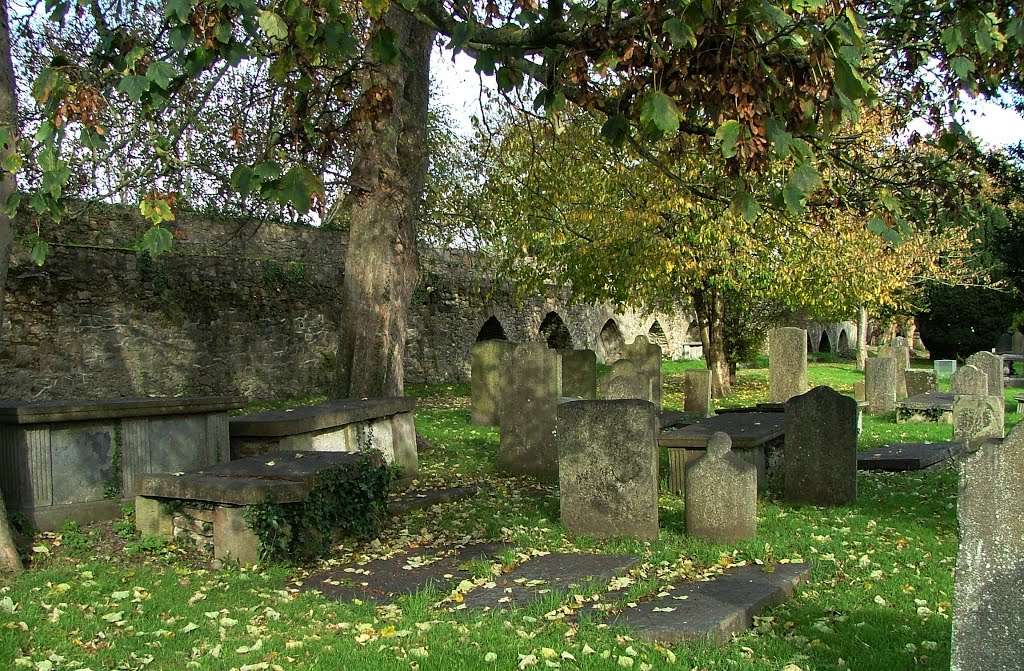 Old St Mary's Church graveyard by inessa.ie