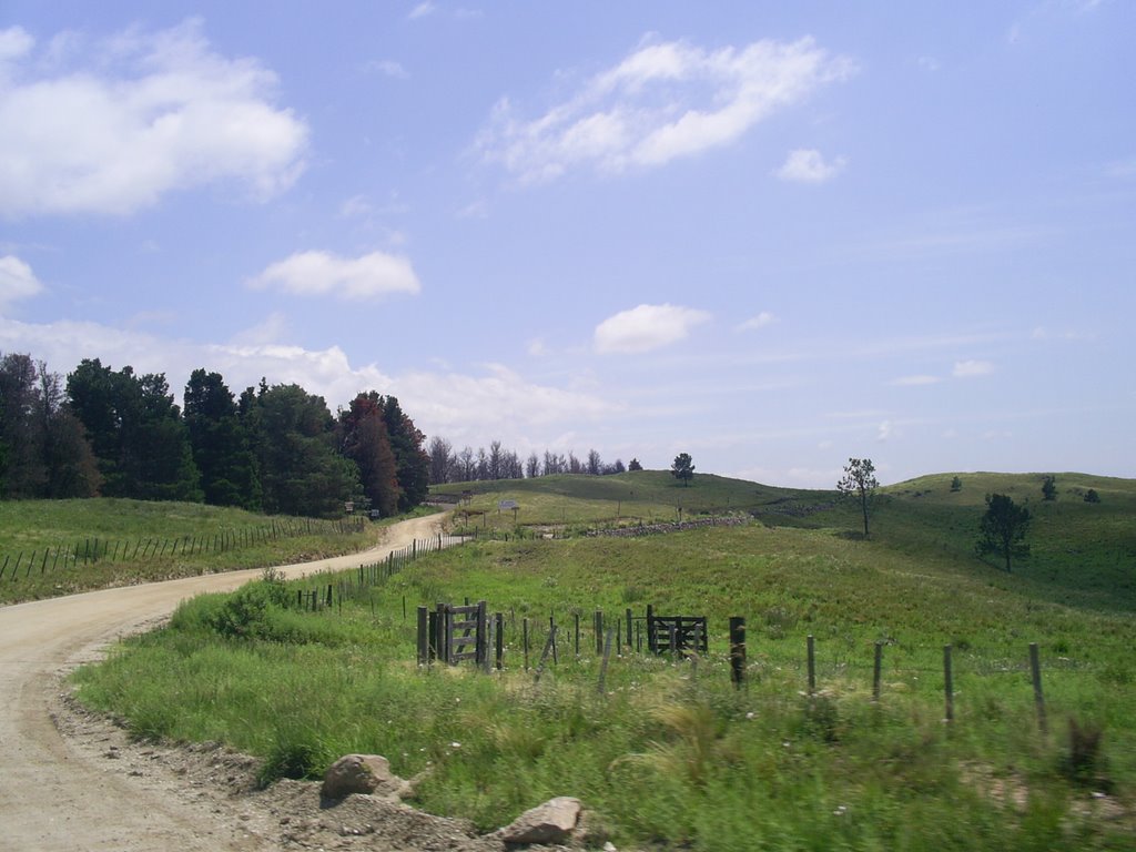 Camino a San Miguel de los Ríos, Yacanto de Calamuchita, Córdoba, Argentina. by Claudio Olivera